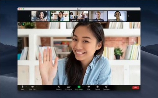 The Zoom call the invite opens: a client waving hello, with the team in the gallery strip above.